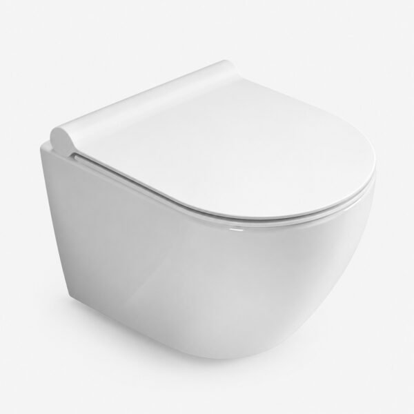 Wall Hung WC